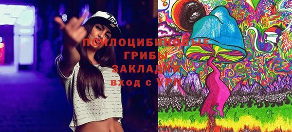 марки nbome Инсар