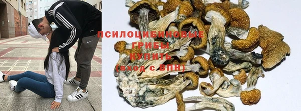 марки nbome Инсар
