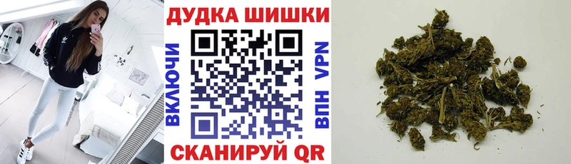 Купить закладки  Гатчина  Шишки марихуана Ganja 